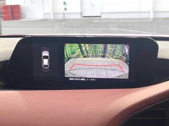 Mazda MAZDA3 FASTBACK 20S　バーガンディセレクション photo 4