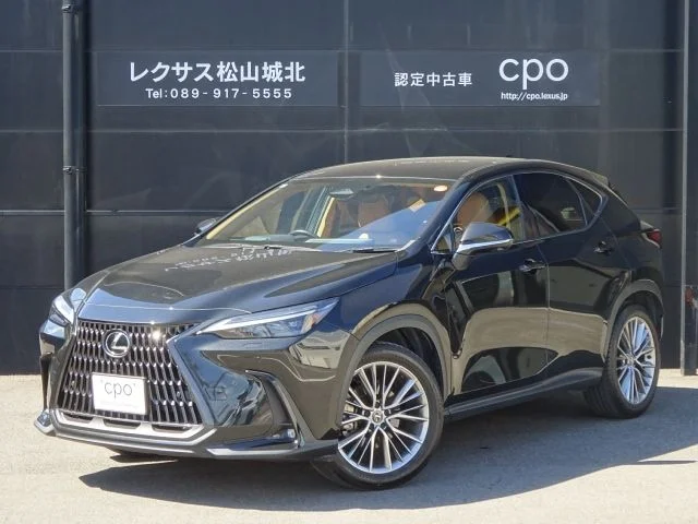 Toyota LEXUS NX250 バージョンL 2023