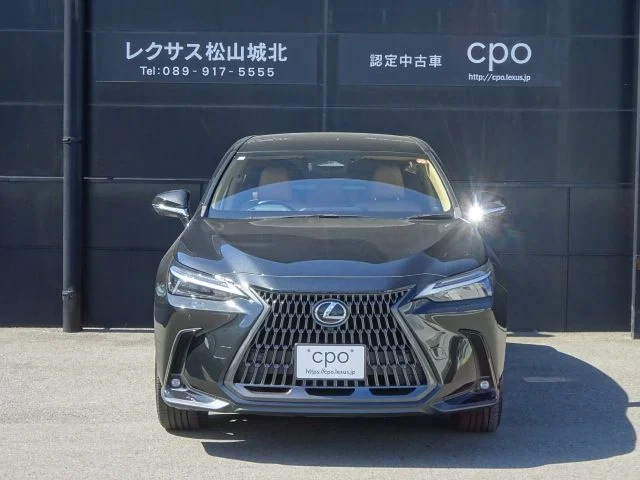 Toyota LEXUS NX250 バージョンL photo 2