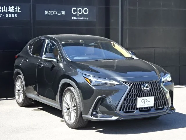 Toyota LEXUS NX250 バージョンL photo 3
