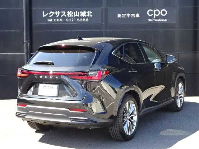 Toyota LEXUS NX250 バージョンL photo 4