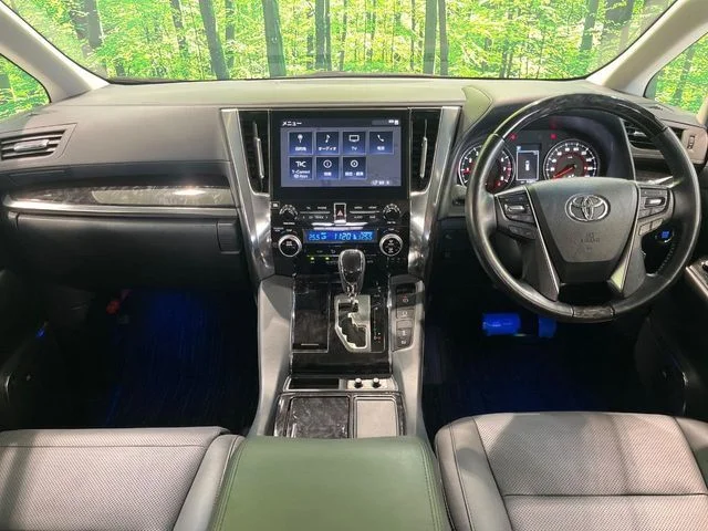 Toyota ALPHARD S　Cパッケージ photo 2