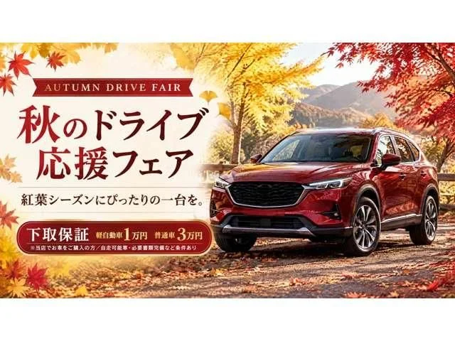 Subaru LEGACY B4 リミテッド photo 3