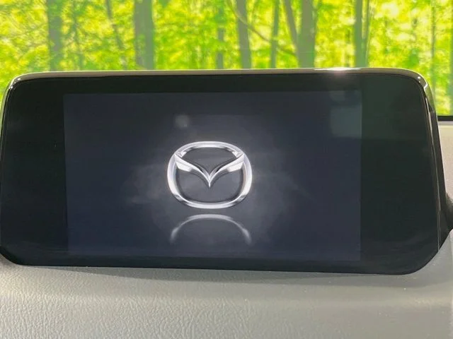 Mazda CX-8 XD　Lパッケージ photo 3