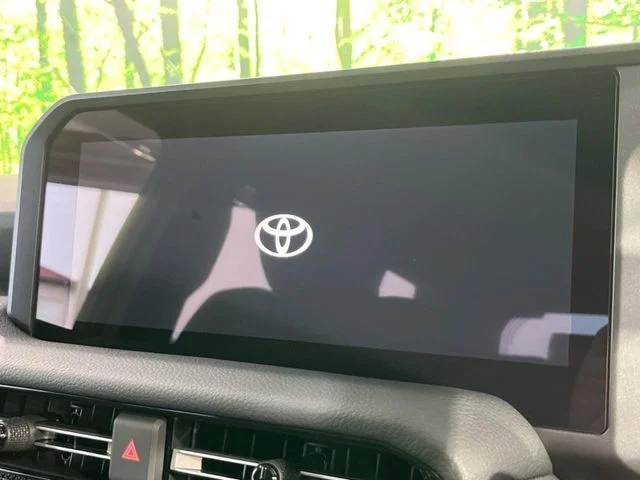 Toyota LANDCRUISER 250 VX photo 4
