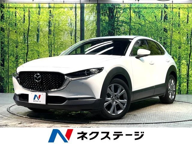 Mazda CX-30 XDプロアクティブツーリングセレクション 2019