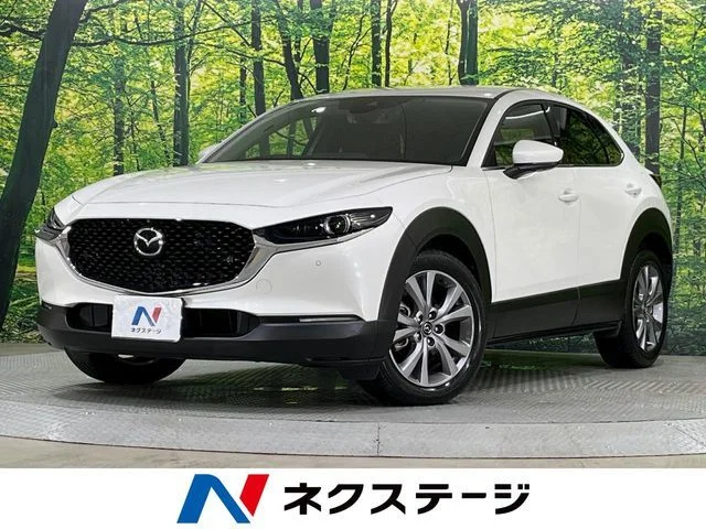 Mazda CX-30 20S　プロアクティブ　ツーリングセレク 2021