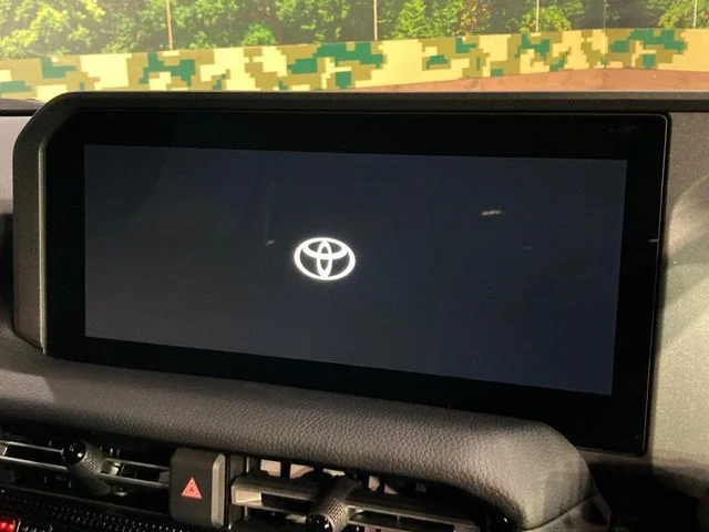 Toyota LANDCRUISER 250 VX photo 4