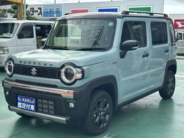 Suzuki HUSTLER タフワイルド photo 3