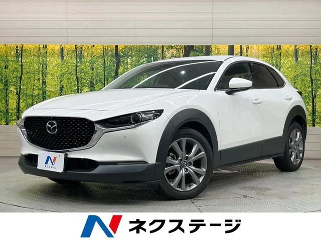 Mazda CX-30 20S　プロアクティブ　ツーリングセレク 2020