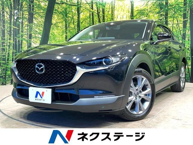 Mazda CX-30 XD　ツーリング 2024