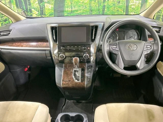 Toyota ALPHARD X photo 2