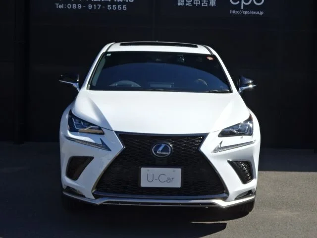 Toyota LEXUS NX300h Fスポーツ photo 2