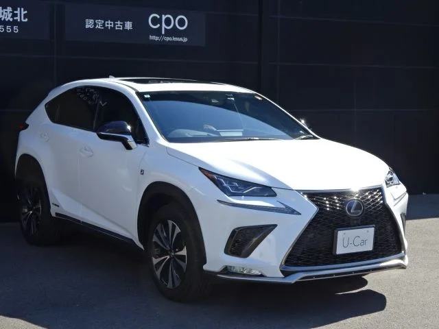 Toyota LEXUS NX300h Fスポーツ photo 3