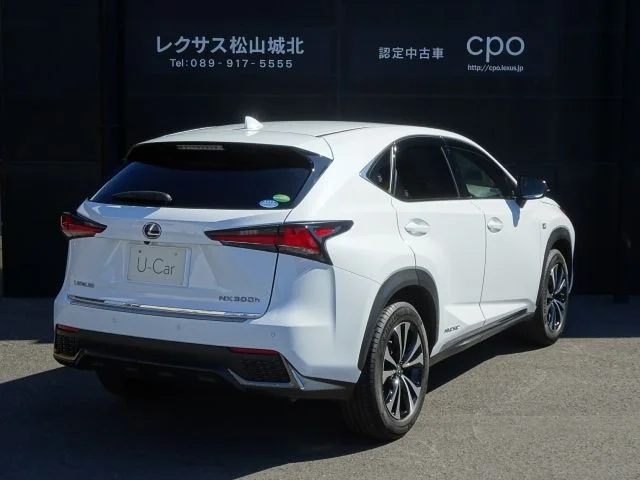 Toyota LEXUS NX300h Fスポーツ photo 4