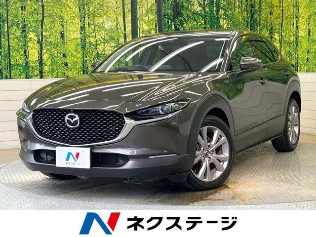 Mazda CX-30 20S　プロアクティブ　ツーリングセレク 2019