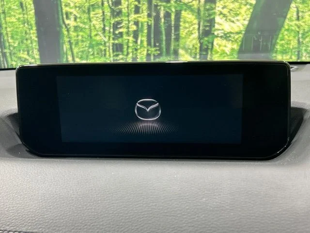 Mazda MX-30 モダン　コンフィデンス photo 3